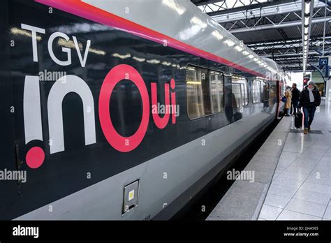 tpsgv|tpsgv bruxelles.